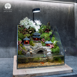 Terrarium Aqua Palace - Bể Hở - Trang Trí Phòng Khách