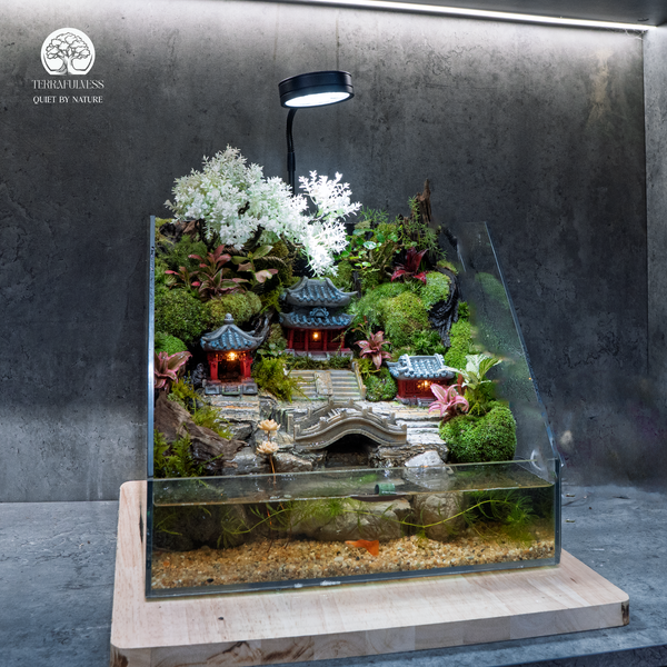 Terrarium
