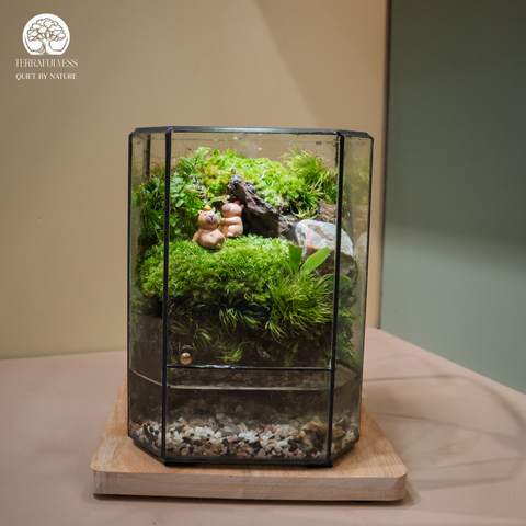Terrarium Whispering Grove - Bể Đa Giác Vuông - Decor Capybara