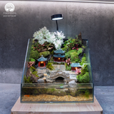 Terrarium Aqua Palace - Bể Hở - Trang Trí Phòng Khách