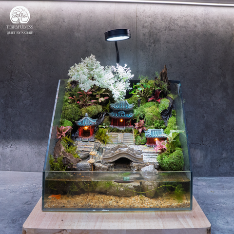Terrarium Aqua Palace - Bể Hở - Trang Trí Phòng Khách
