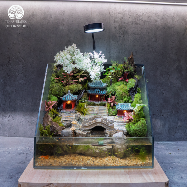 Bể Bán Cạn Terrafulness