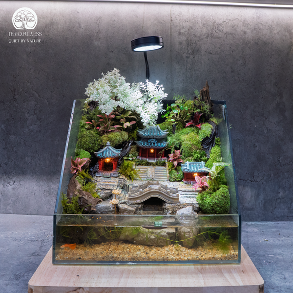 Có mấy loại Terrarium