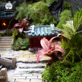 Terrarium Aqua Palace - Bể Hở - Trang Trí Phòng Khách