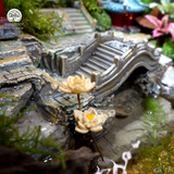 Terrarium Aqua Palace - Bể Hở - Trang Trí Phòng Khách