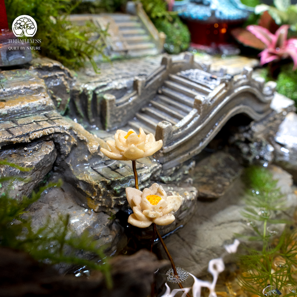 Terrarium