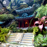 Terrarium Aqua Palace - Bể Hở - Trang Trí Phòng Khách