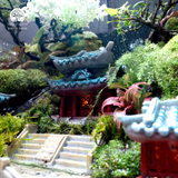 Terrarium Aqua Palace - Bể Hở - Trang Trí Phòng Khách