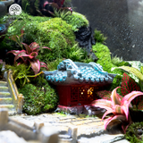 Terrarium Aqua Palace - Bể Hở - Trang Trí Phòng Khách