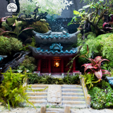 Terrarium Aqua Palace - Bể Hở - Trang Trí Phòng Khách