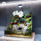 Terrarium Aqua Palace - Bể Hở - Trang Trí Phòng Khách