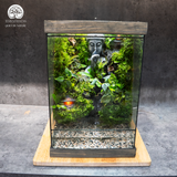 Terrarium