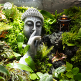 Terrarium