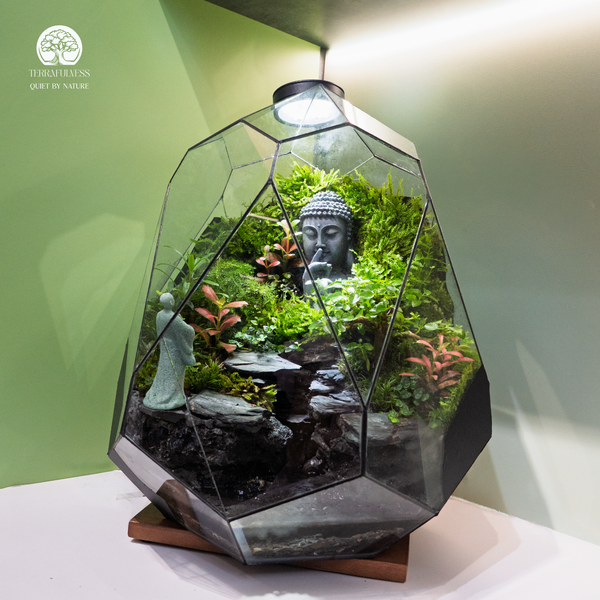 Terrarium
