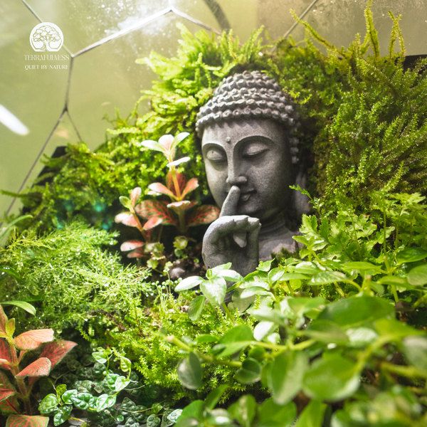 Terrarium