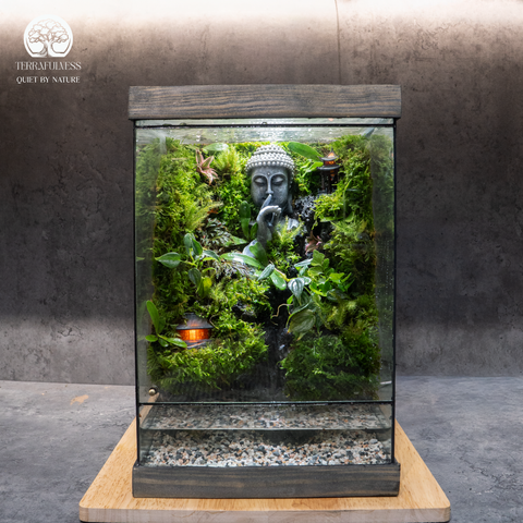 Terrarium Thác Nước Phật Thiền – Trang Trí Không Gian