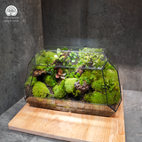 Terrarium