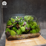 Terrarium