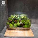 Terrarium