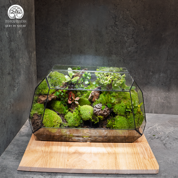 Terrarium bán cạn