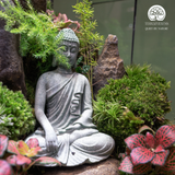 Zen Terrarium Sanctum of Silent Awakening - Bể Đa Giác - Quà Tặng Cao Cấp