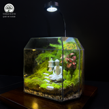 Terrarium Zen An Lạc - Bể Đa Giác Ngang - Trang Trí Và Thiền Định