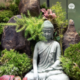 Zen Terrarium Sanctum of Silent Awakening - Bể Đa Giác - Quà Tặng Cao Cấp
