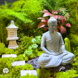 Terrarium Zen An Lạc - Bể Đa Giác Ngang - Trang Trí Và Thiền Định
