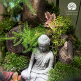 Zen Terrarium Sanctum of Silent Awakening - Bể Đa Giác - Quà Tặng Cao Cấp