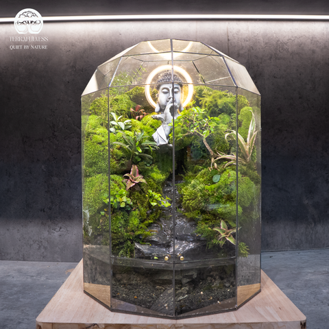 Terrarium Ẩn Sơn – Bán Cạn - Trang Trí Không Gian