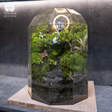 Terrarium