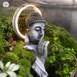 Terrarium