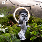 Terrarium
