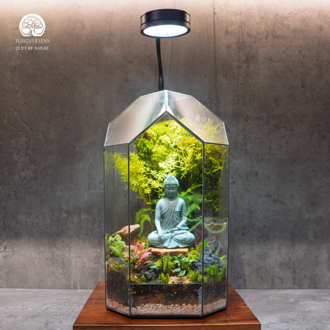 Zen Terrarium Bồ Đề - Bể Đa Giác - Trang Trí Thiền Đẳng Cấp