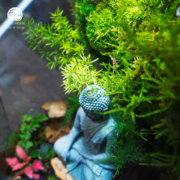Cơ chế tự tuần hoàn: Trái tim của bình Terrarium khép kín
