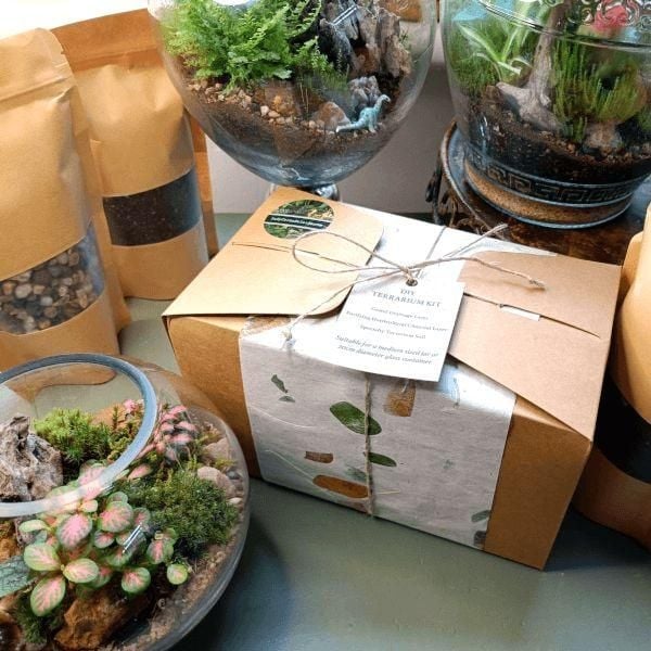 Quà Tặng Cuối Năm - Tri Ân Đồng Hành – Tại Sao Terrarium Là Gương Mặt Vàng Cho Quà Tặng Tri Ân…