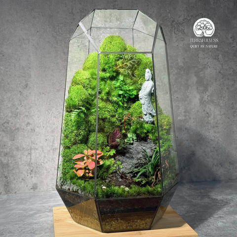 Terrarium Zen Quan Âm Đứng - Bể Đa Giác - Tạo Góc Thiền Xanh Mát, Bình An