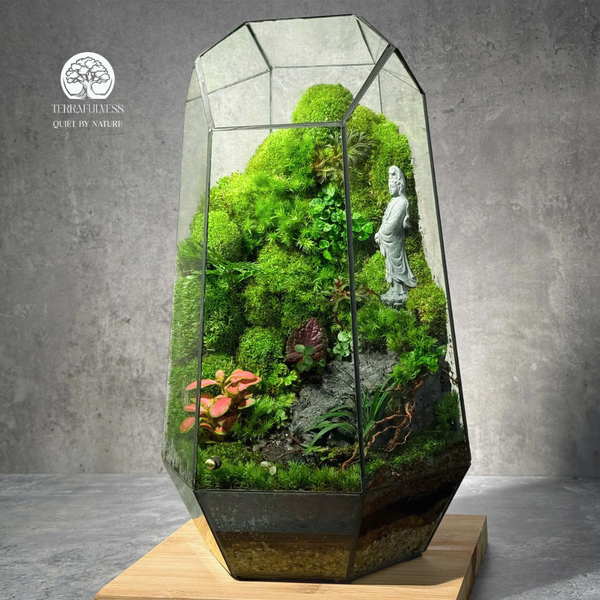Terrarium Quan Âm