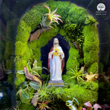 Terrarium Thánh Tâm An Lành - Bể Đa Giác - Trang Trí Không Gian