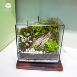 Terrarium Green Oasis - Bể Chữ Nhật Ngang - Quà Tặng Độc Đáo