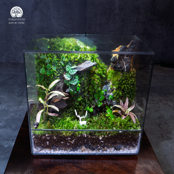 Terrarium