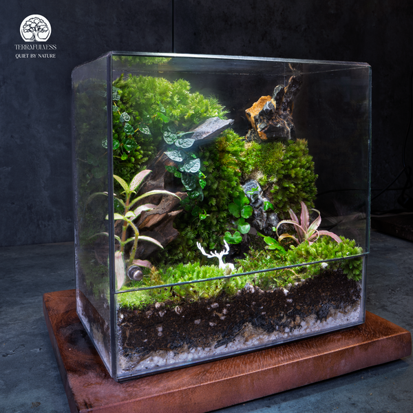 Đủ tinh tế cho nhiều mối quan hệ – Quà Tặng Tết Tinh Tế Với Terrarium - Terrafulness