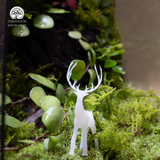 Terrarium Wilder - Bể Đa Giác - Quà Tặng Thiên Nhiên