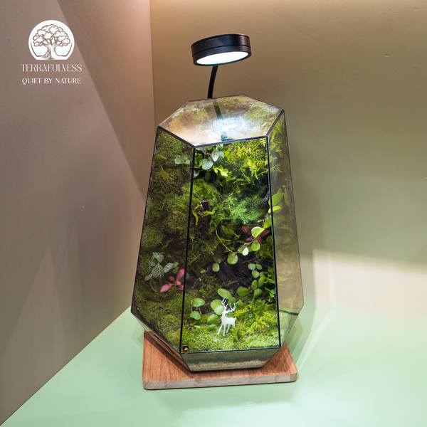 Terrarium