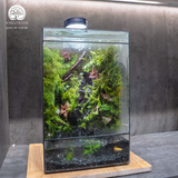 Terrarium