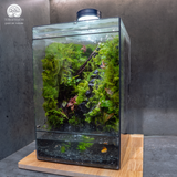 Terrarium