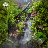 Terrarium