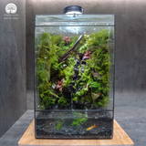 Terrarium