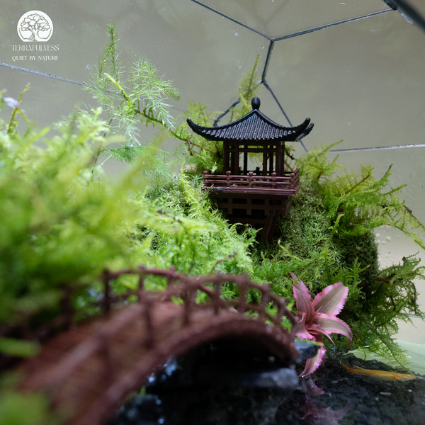 Terrarium