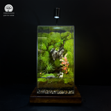 Terrarium Lộc Uyển - Bể Chữ Nhật - Trang Trí Nghệ Thuật